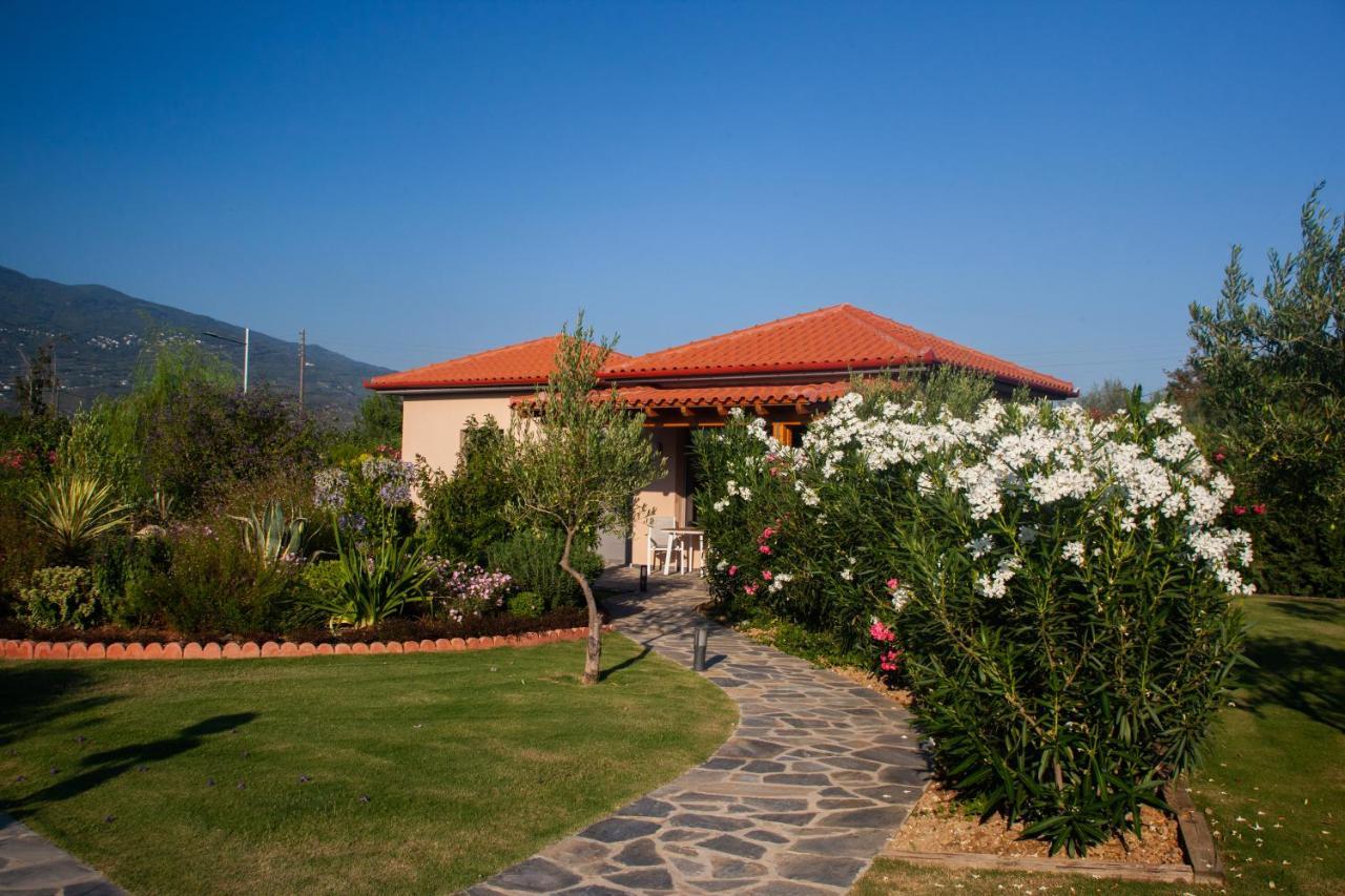 Elite Cottages Káto Lekhónia Exteriér fotografie